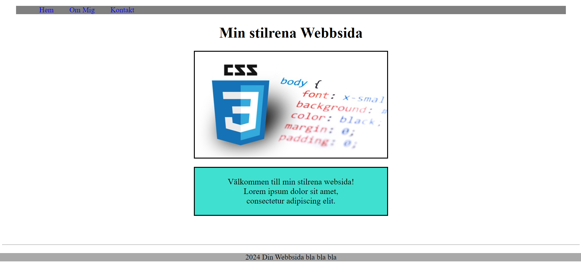 bild1