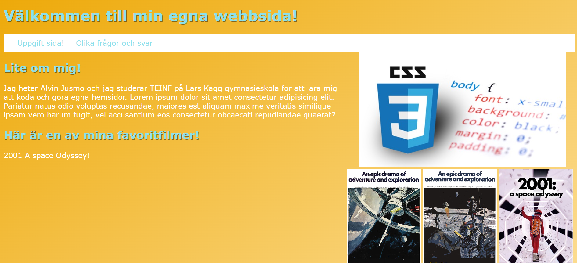 bild6